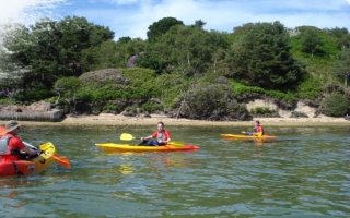  Kajakfahren rund um Brownsea Island 